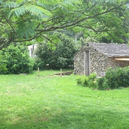 Olivetu Villa Sisco Bagian luar foto